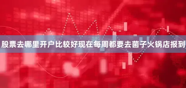 股票去哪里开户比较好现在每周都要去菌子火锅店报到