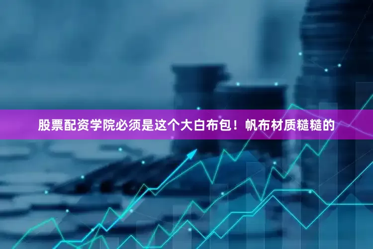 股票配资学院必须是这个大白布包！帆布材质糙糙的