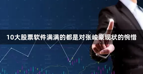 10大股票软件满满的都是对张峻豪现状的惋惜