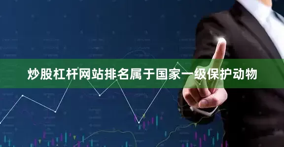 炒股杠杆网站排名属于国家一级保护动物