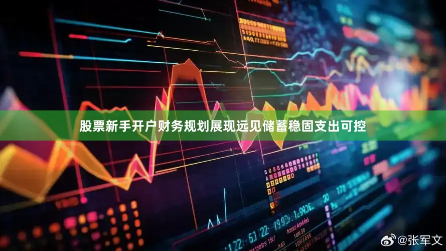 股票新手开户财务规划展现远见储蓄稳固支出可控