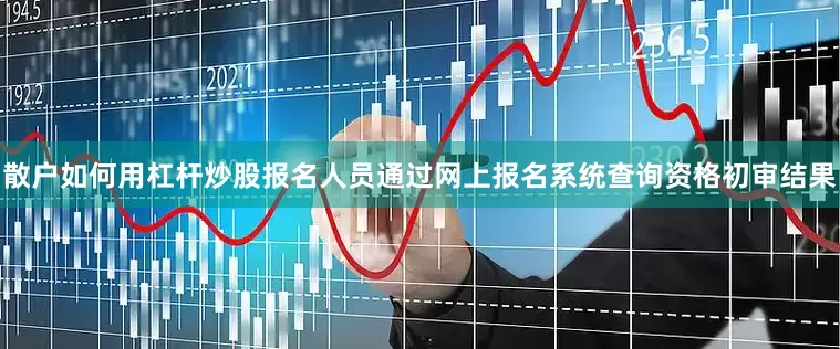散户如何用杠杆炒股报名人员通过网上报名系统查询资格初审结果