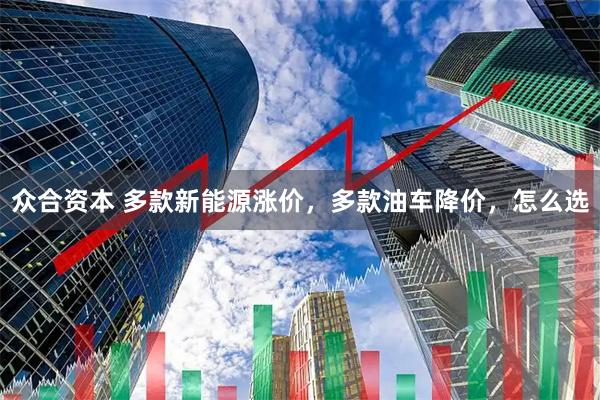 众合资本 多款新能源涨价，多款油车降价，怎么选